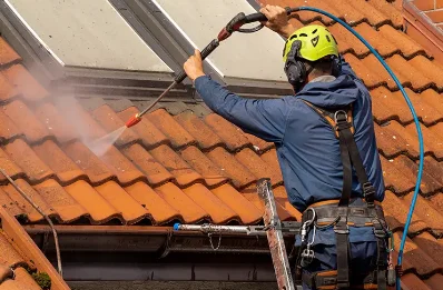 Démoussage et hydrofuge de toiture à Bassignac